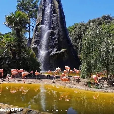 Сasa de vacaciones Mh 26 La Tremblade